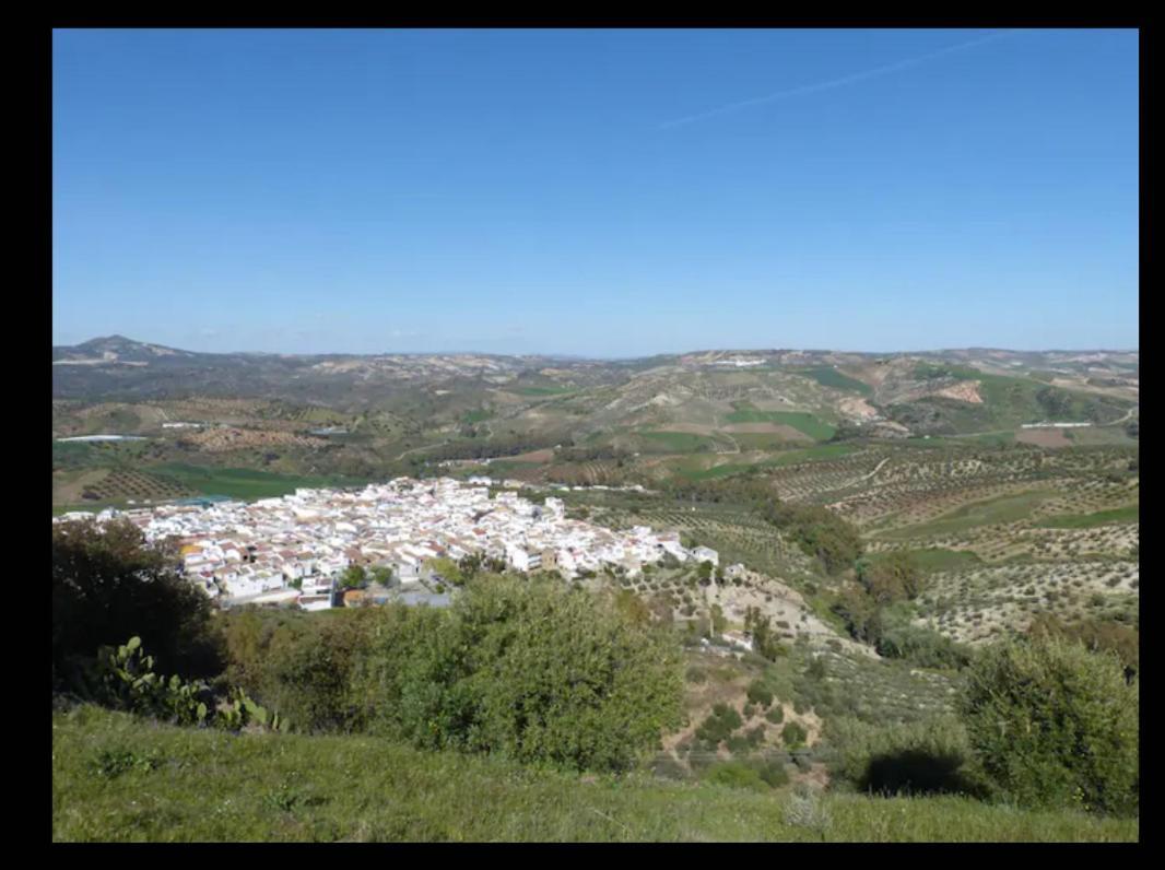 Apartamento Casa Con Vistas Al Campo Y Cocina Con Terraza Villanueva de San Juan Eksteriør billede